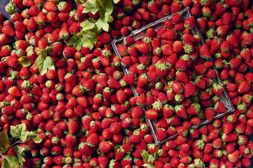 フレッシュ苺を心ゆくまで堪能！ “いちご食べ放題”がついた『XEX