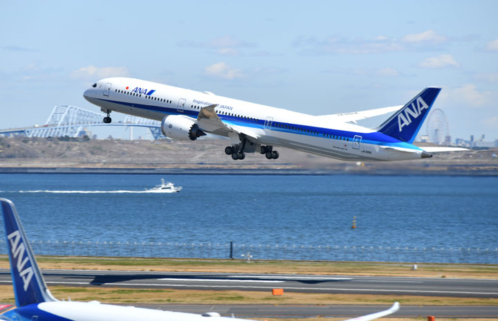 希少】ANA 全日空 フライトタグ 787 就航10周年 新品 激レア ANA
