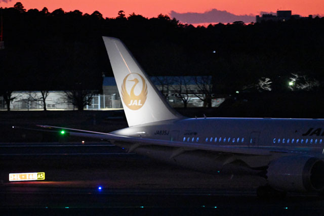夕暮れに浮かぶ金の鶴丸 写真特集・JAL 787-8 JA835J