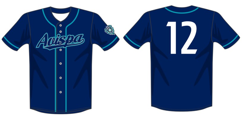 ファンクラブ会員特典「博多へ帰ろうバッグ」および 「ベースボール