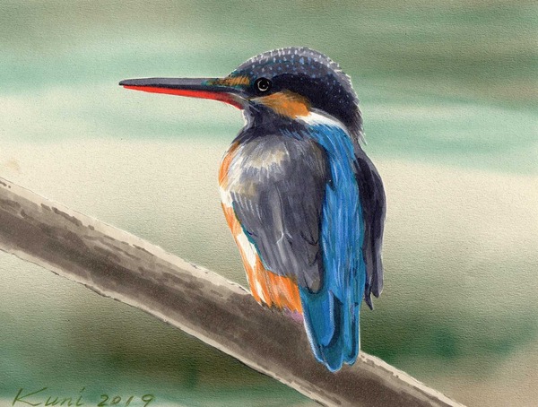 カワセミ」 by kuni｜Artmeter｜暮らしを彩るアートが、きっと見つかる