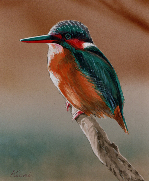 カワセミ(4)」 by kuni｜Artmeter｜暮らしを彩るアートが、きっと見つかる
