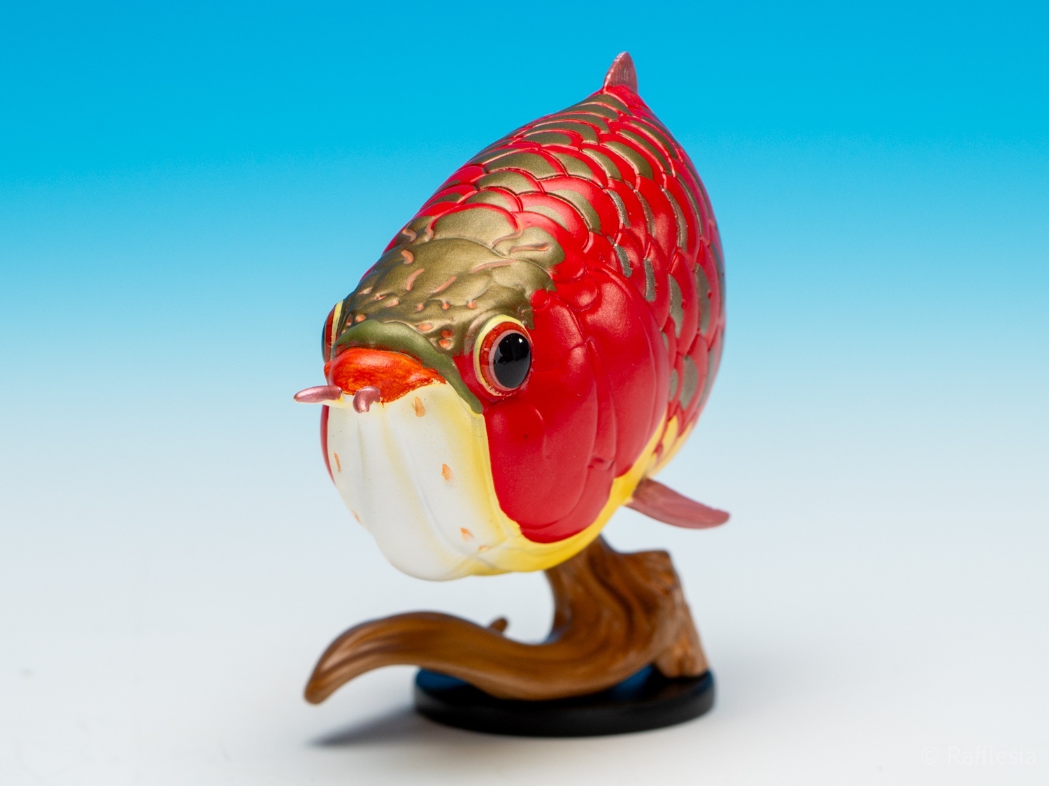 アジアアロワナ（赤）【動画あり】 - アジアアロワナ専門店ラフレシア