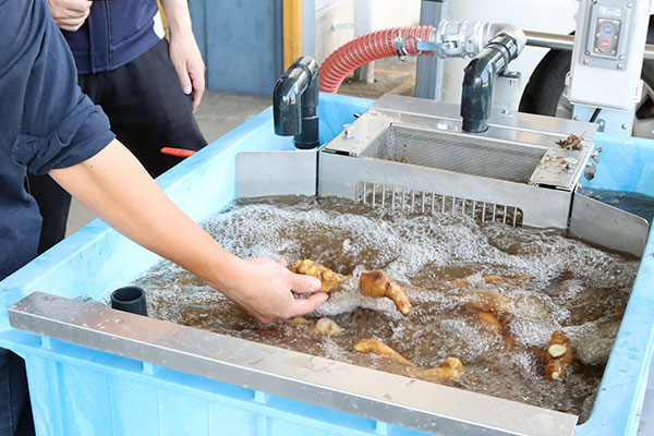 二流体根菜洗浄機200Lタイプ｜AZx Inc. 株式会社エイザックス