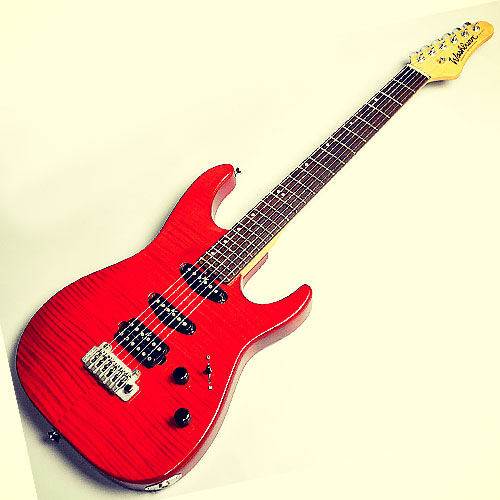 Washburn Mercury MG701 Deluxe Plus | Specifications