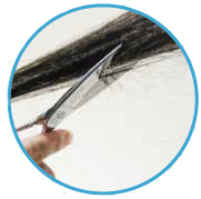 30％pt還元】ミズタニシザー いちにのさん2 スライド 6.0インチ