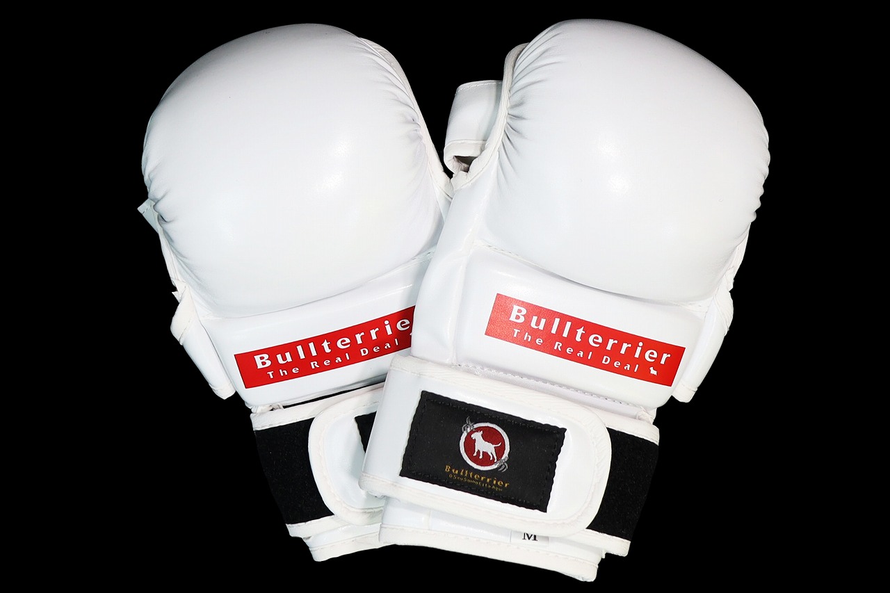 BULL TERRIER MMAグローブ Basic 6oz 白