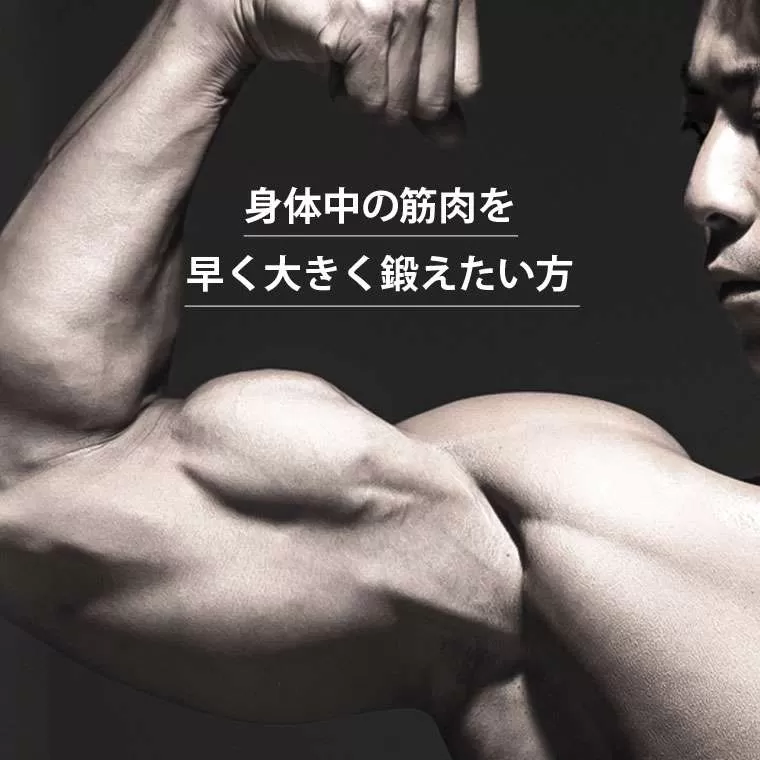 PUダンベル bmtw 40kg PD0074000｜BODYMAKER（ボディメーカー）