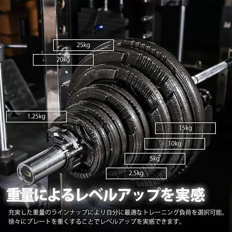 オリンピックハンマートーンプレート 20kg PH0092000｜BODYMAKER