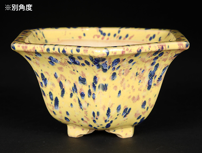 燿山窯英明黄斑紋釉六角鉢 | 盆栽、盆栽書籍、盆栽鉢の通販│近代出版