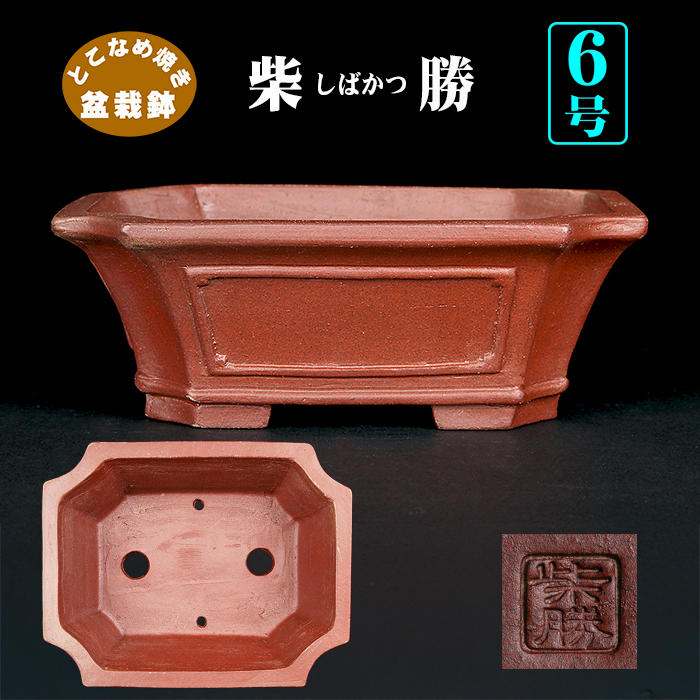 柴勝外縁隅切額面長方鉢 | 盆栽、盆栽書籍、盆栽鉢の通販│近代出版