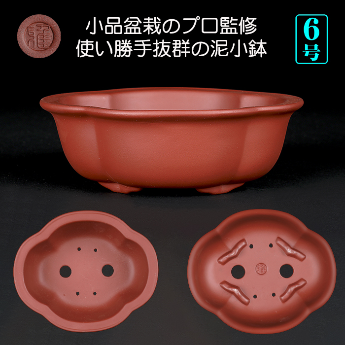 白交趾外縁下紐楕円鉢〔陶元交趾〕 | 盆栽、盆栽書籍、盆栽鉢の通販