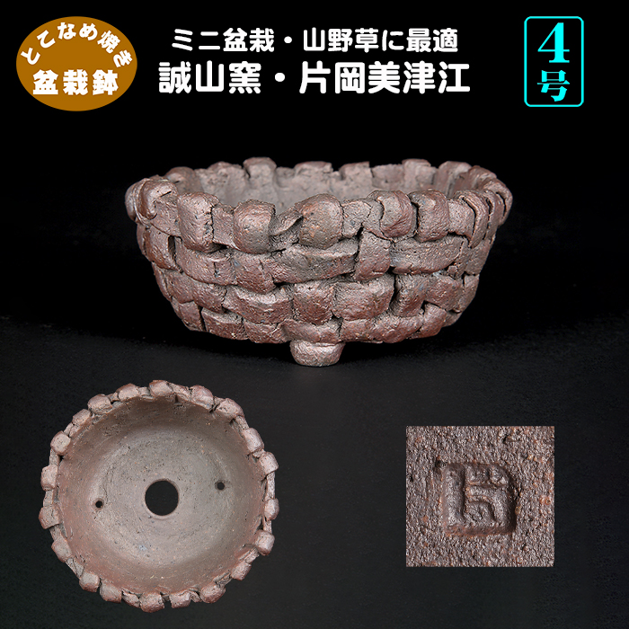誠山窯 片岡美津江 | 盆栽、盆栽書籍、盆栽鉢の通販│近代出版