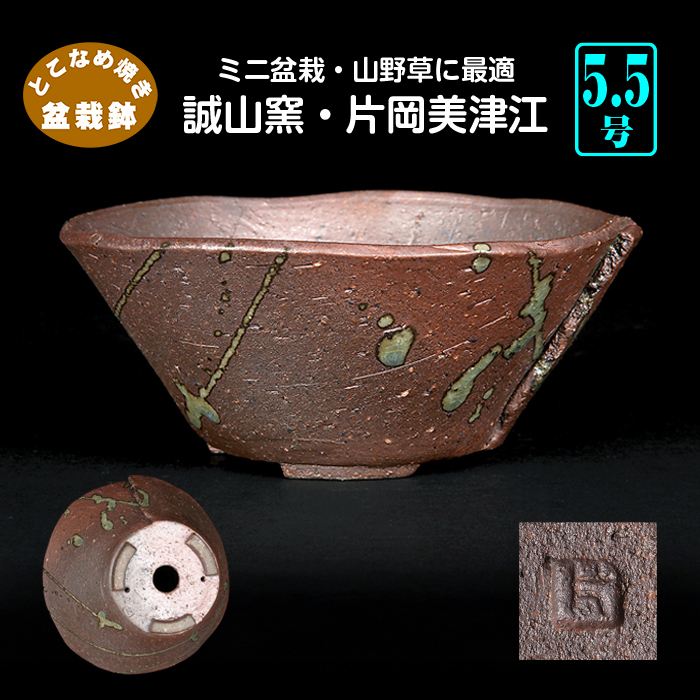 誠山窯 片岡美津江 | 盆栽、盆栽書籍、盆栽鉢の通販│近代出版