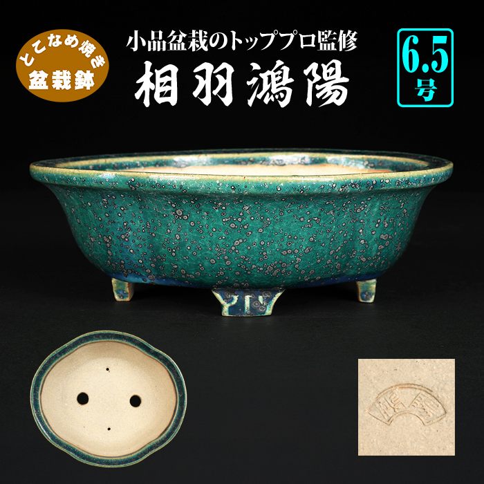 鴻陽陶園 | 盆栽、盆栽書籍、盆栽鉢の通販│近代出版