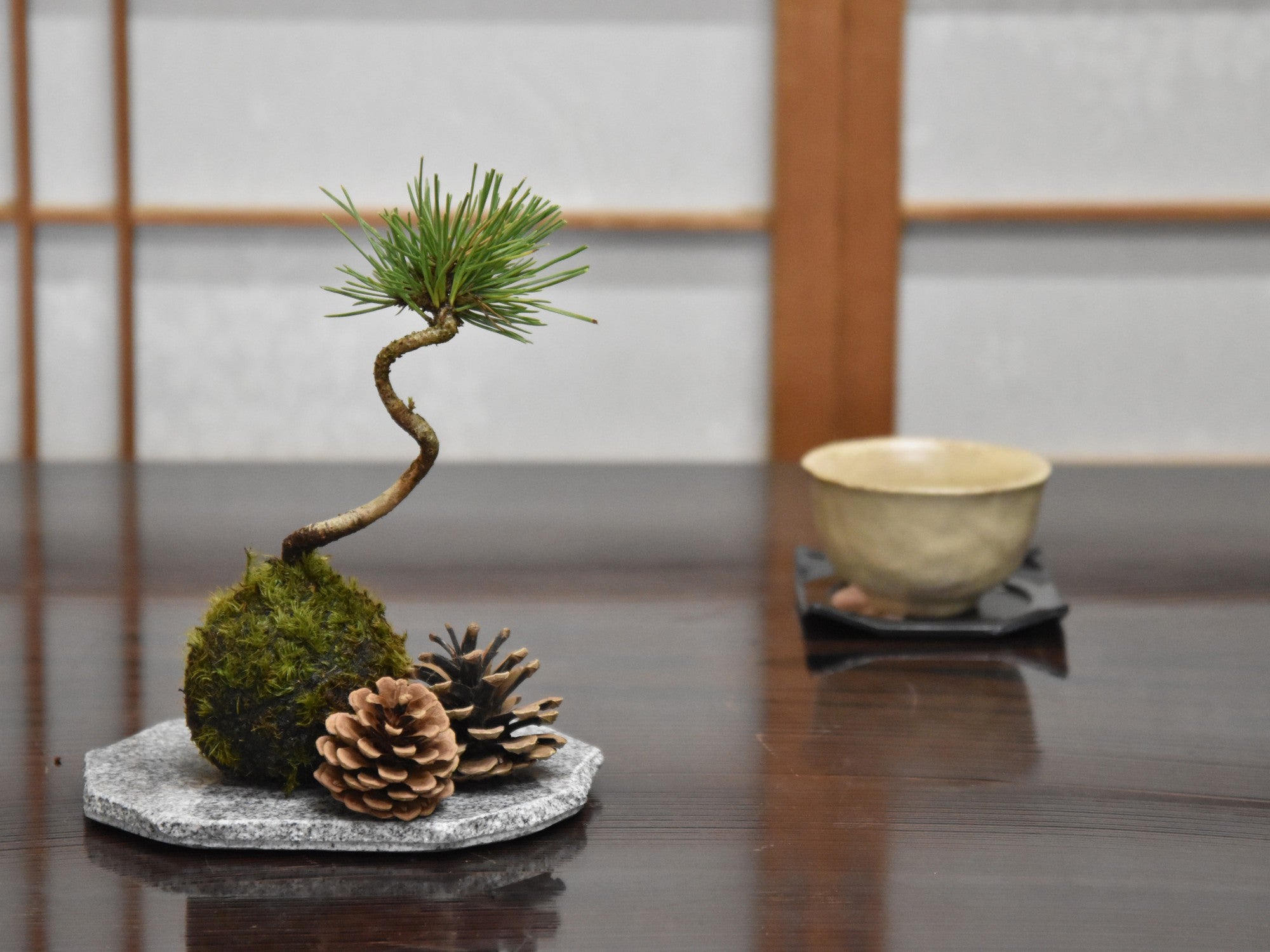 庵治石 花台 お皿 敷物 磨き上げ仕上げの販売｜盆栽妙 – 盆栽妙 本店