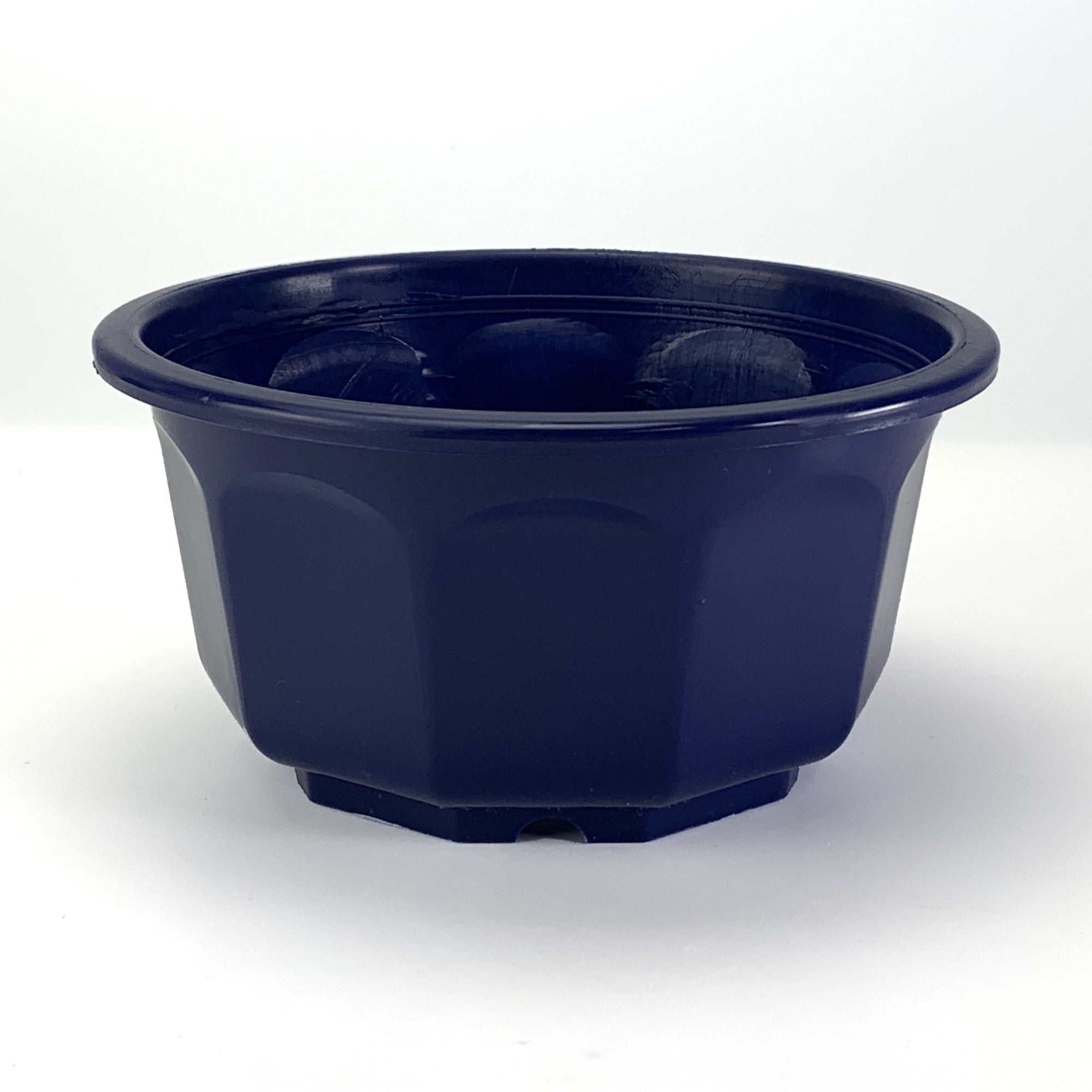 プラ鉢 5号 浅型和鉢 青 5AS 幅15cm×高さ7.5cm の販売｜盆栽妙 – 盆栽