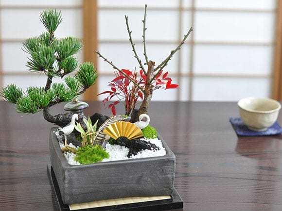 松竹梅の寄せ植え 5号サイズ お正月の盆栽を販売｜入門は盆栽妙 – 盆栽