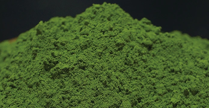 イトーノンFコンディショニングクリーム | 化粧品 | 伊藤超短波 エステ