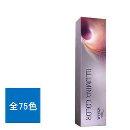 輝髪 ザクロペインター ナチュラルブラック A 1000gの卸・通販
