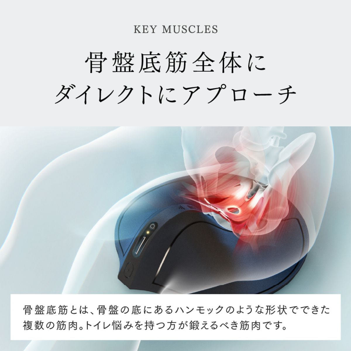 マイトレックス AQUA QUTTO（アクアキュット）の卸・通販 | ビューティ