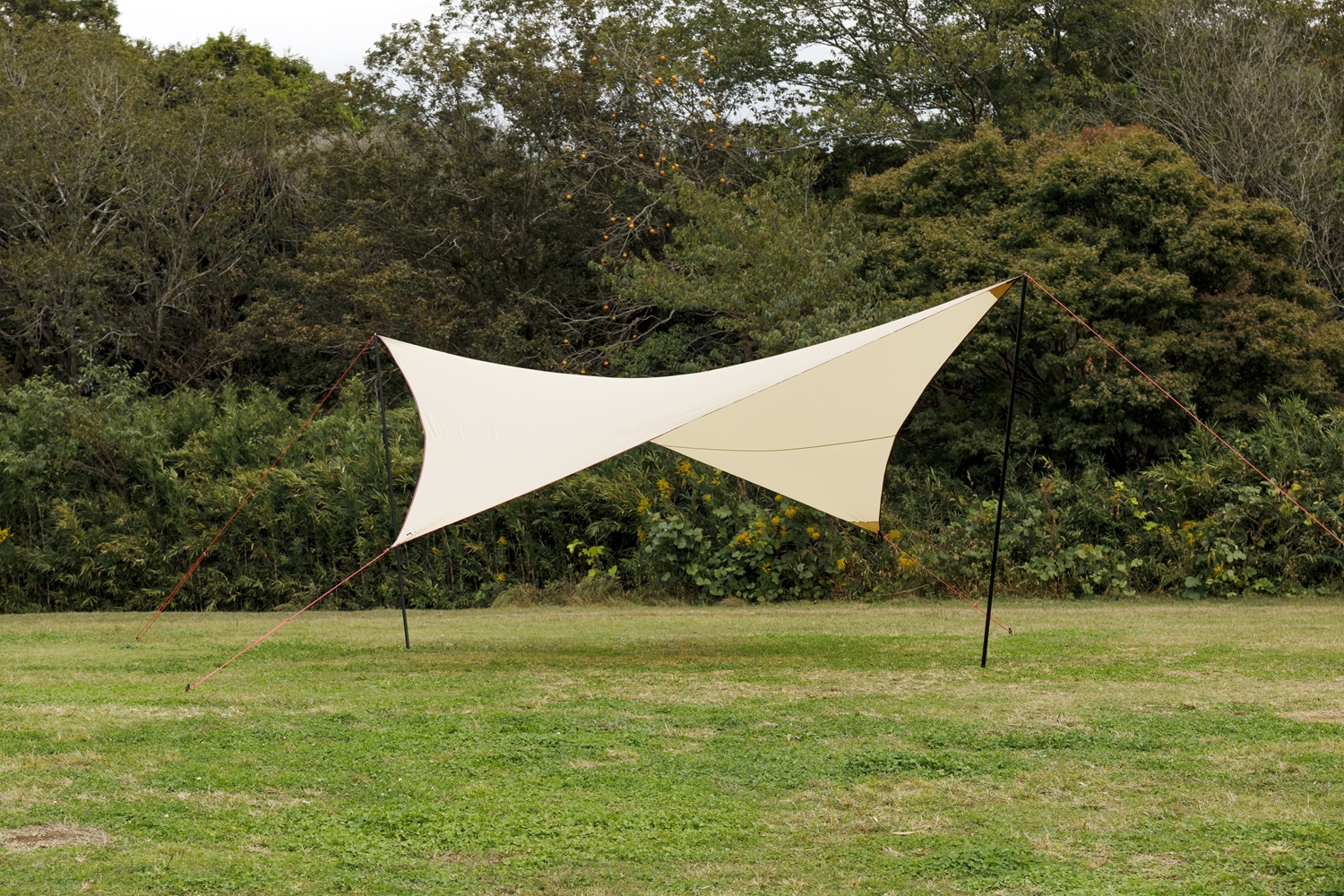 MOSS TENTS (モス) ／ パラウィング 19ft | 道具・ギア 【BE-PAL