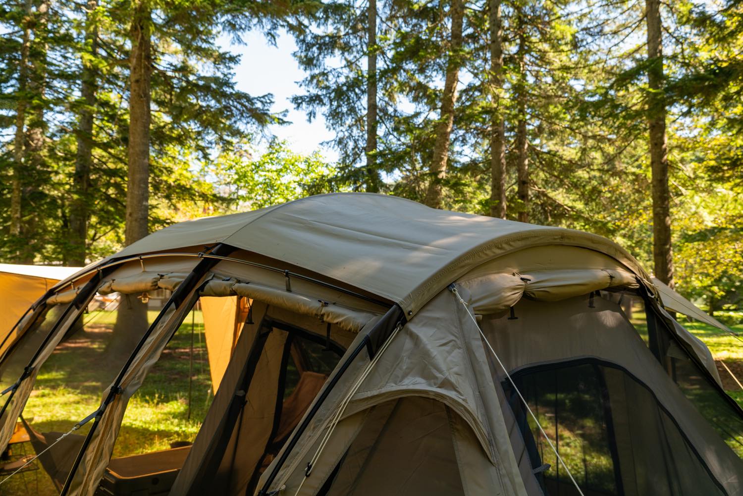 SABBATICAL(サバティカル）／アルニカ plus | 道具・ギア 【BE-PAL