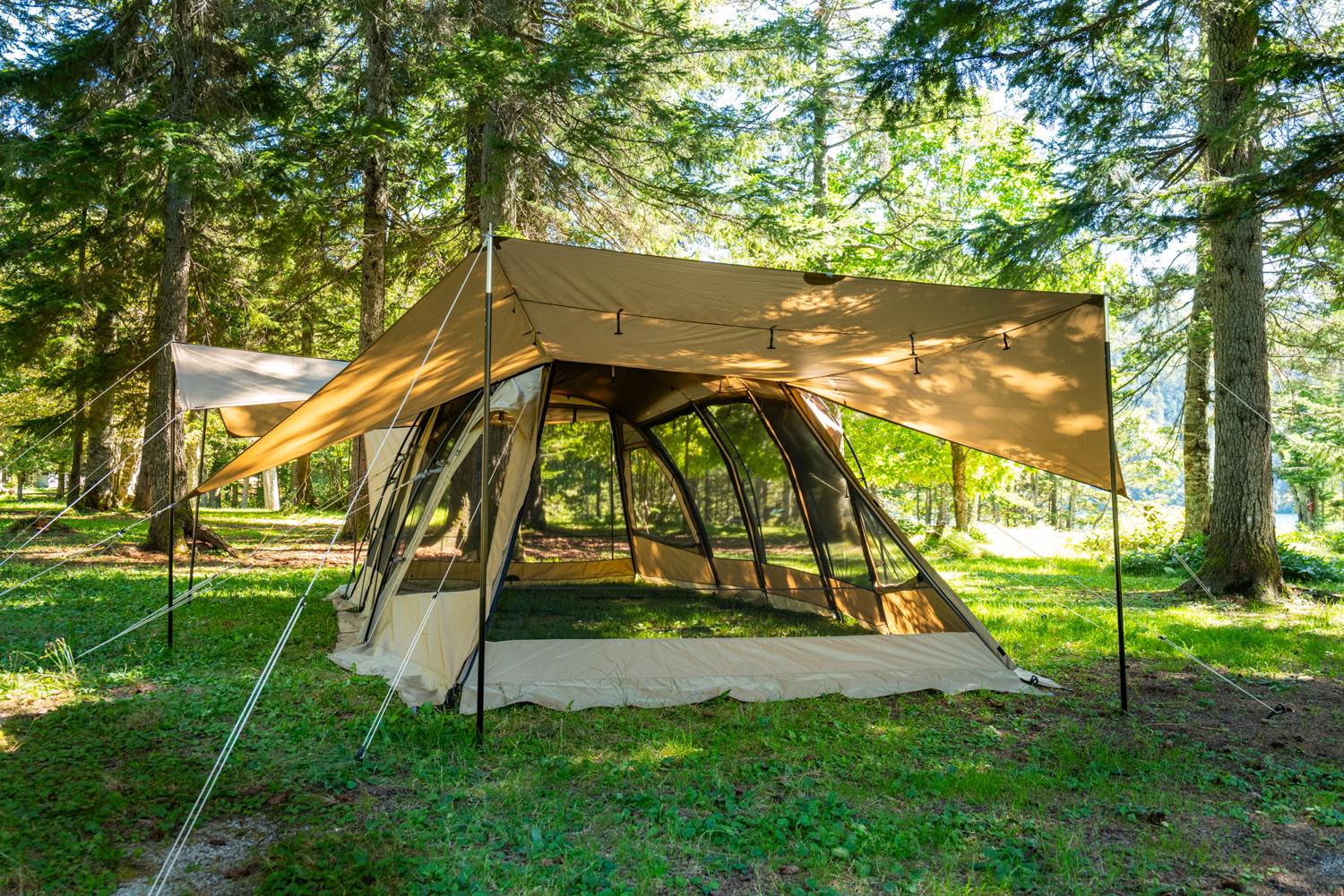 SABBATICAL(サバティカル）／アルニカ plus | 道具・ギア 【BE-PAL