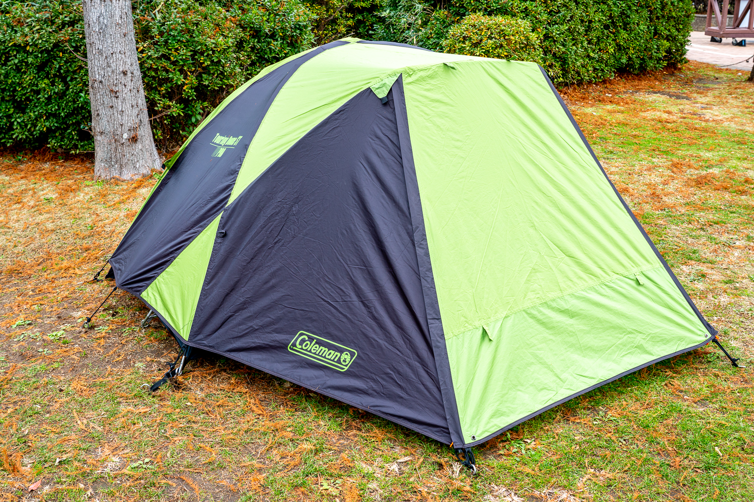 定番なのには理由がある！コールマン「ツーリングドーム」が支持される