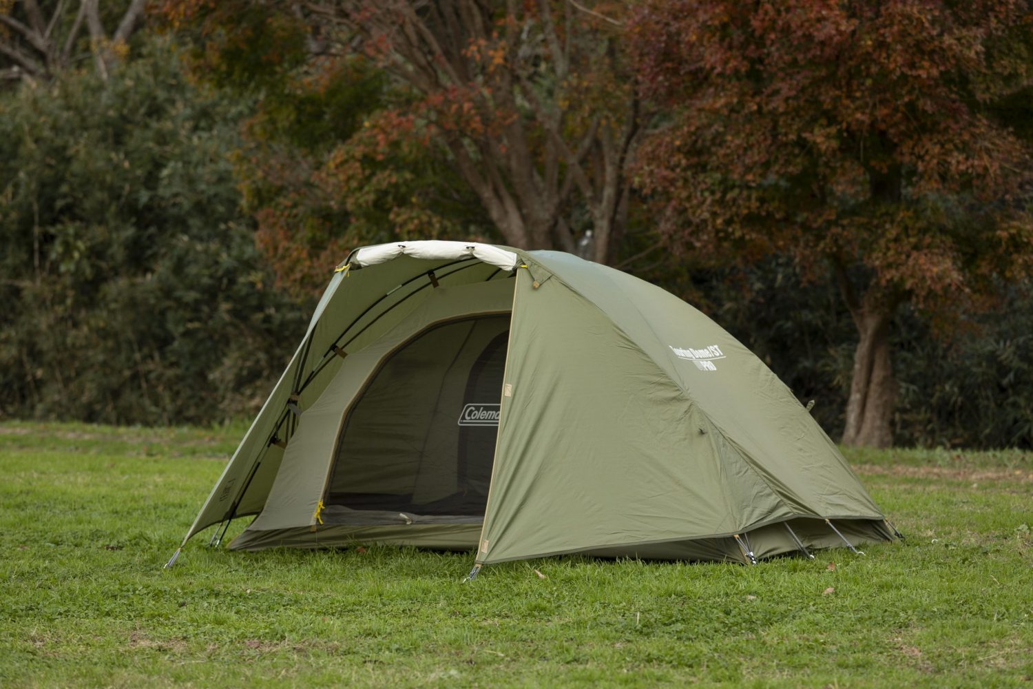 Coleman (コールマン) ／ ツーリングドーム/ST | 道具・ギア 【BE-PAL