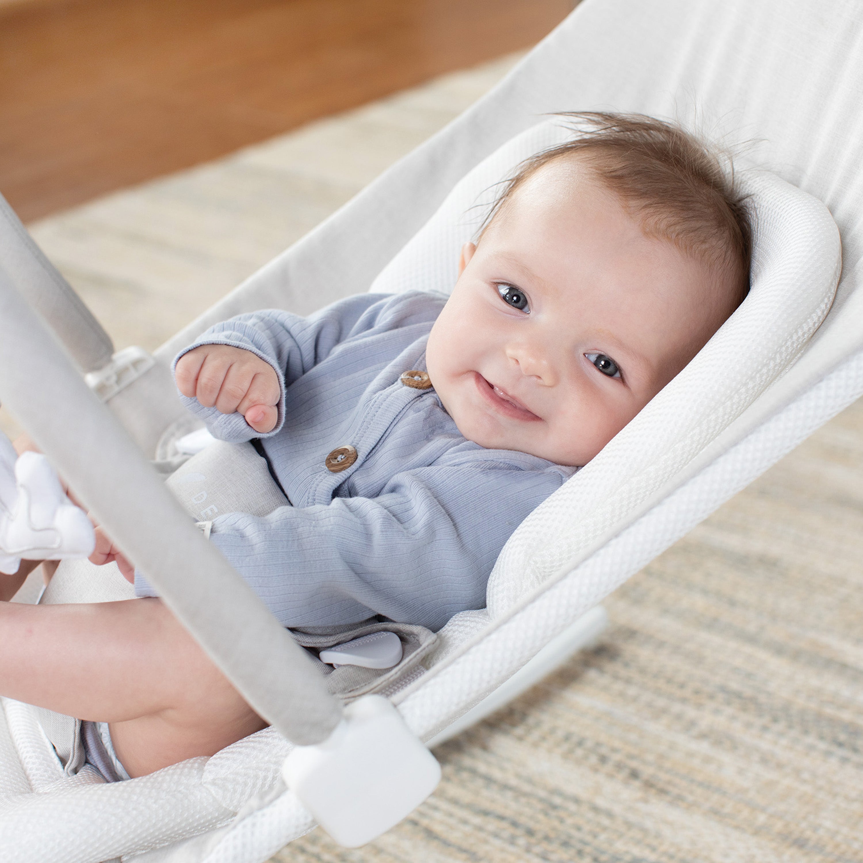 Alpine Wave Deluxe Bouncer