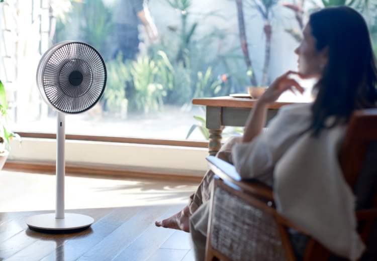 特徴 | The GreenFan | BALMUDA（バルミューダ）公式サイト