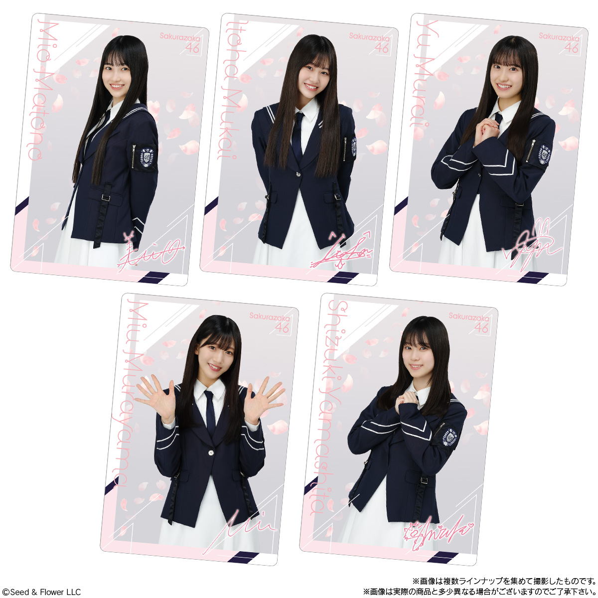 櫻坂46 ツインウエハース｜発売日：2023年8月22日｜バンダイ