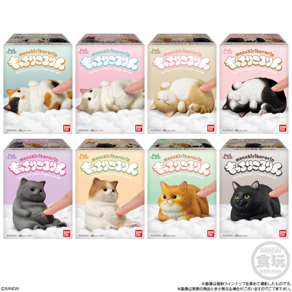 もっちりころりん♪ ねこ｜発売日：2025年2月17日｜バンダイ