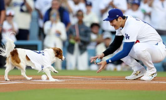 大谷翔平、愛犬デコピンと球場ランニング！MVP候補のオフの”癒やし