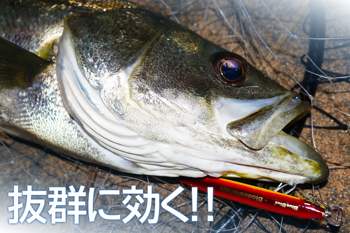 ブローウィン！80S | ブローウィン | ルアー | 製品 | BlueBlue