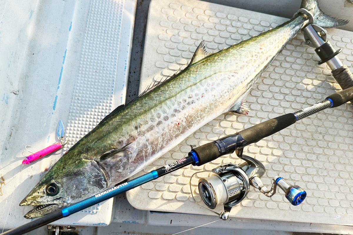 HENNIHARU77M | 東京クラゲ | ロッド | 製品 | BlueBlue -ブルーブルー