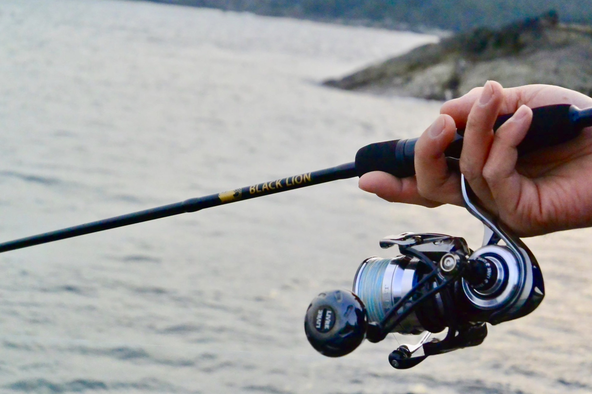 ☆ ラーテル77ついてのお知らせ ☆ | BLACKLION(ブラックライオン)公式