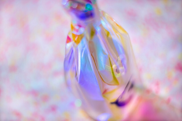 新政酒造 No.6（紫舟）Sisyu-type 先行抽選発売 専用フォームにて