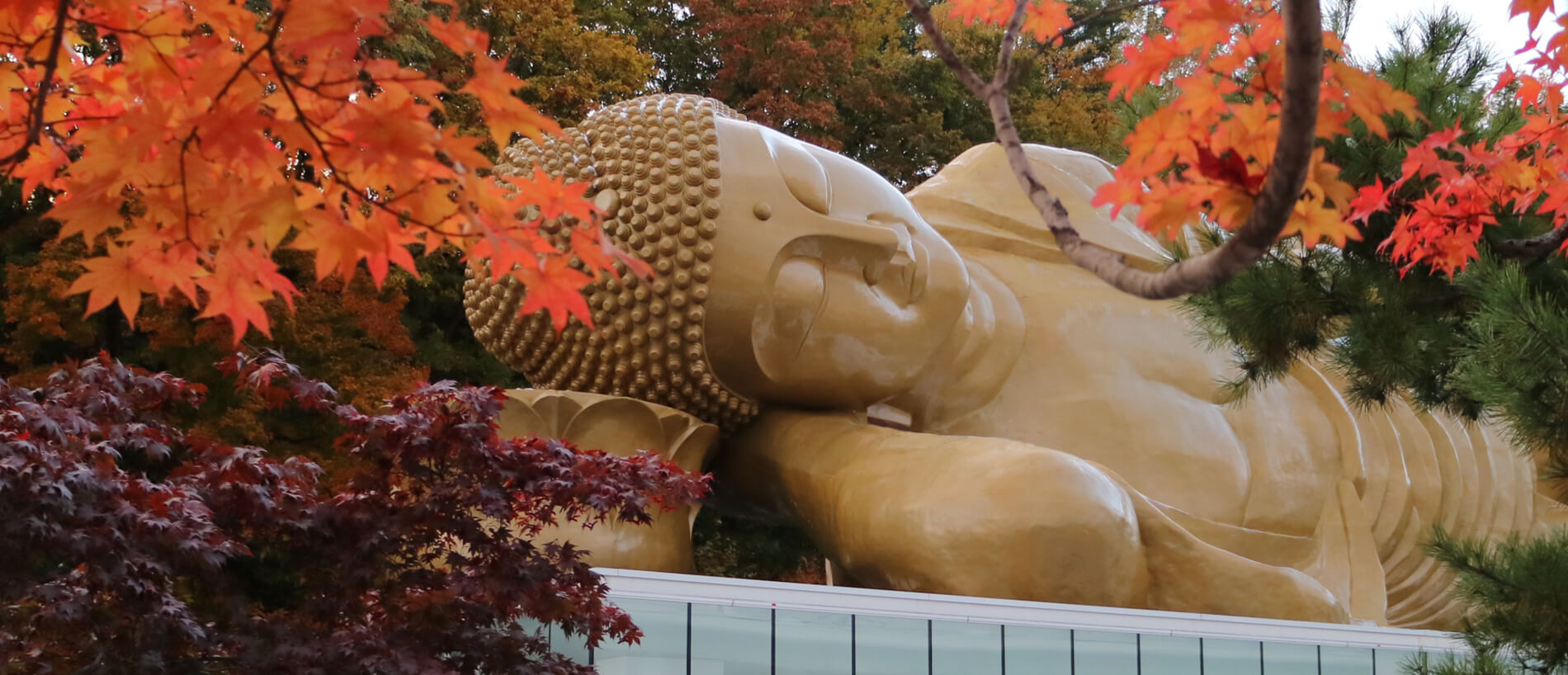 佛願寺大涅槃聖堂-日本最大の大仏を拝む札幌のパワースポット