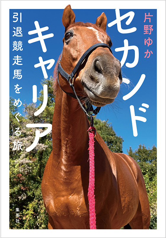 セカンドキャリア 引退競走馬をめぐる旅 | 集英社 文芸ステーション
