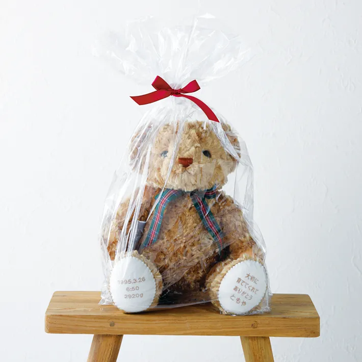 固定文Cパターン】ハローネベア カフェブラウン(1体) ウェイトドール