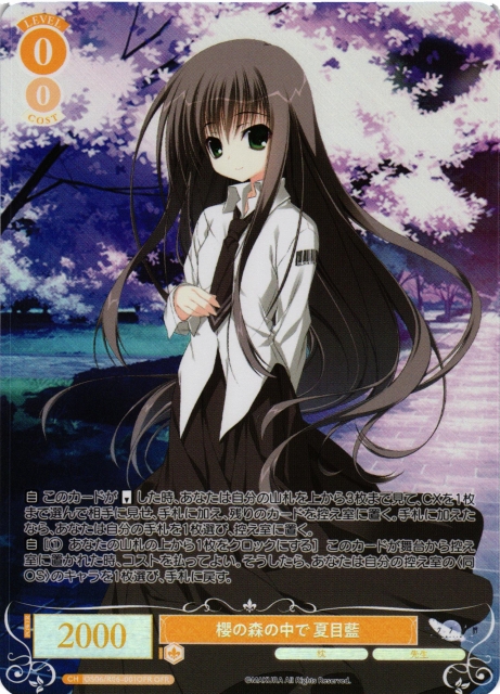 WSR】櫻の森の中で 夏目藍【OFR】OS06/R06-001OFR - C-labo OnlineShop