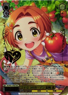 WS】ハイブリッド・スペクトル 二宮飛鳥(箔押し)【M@P】IMC/WE51-51M@P