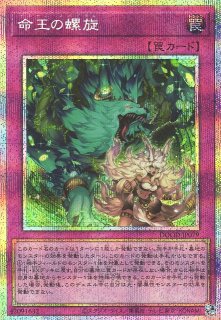 遊戯】調和ノ天救竜【プリズマティックシークレット/効果】BLZD-JP024