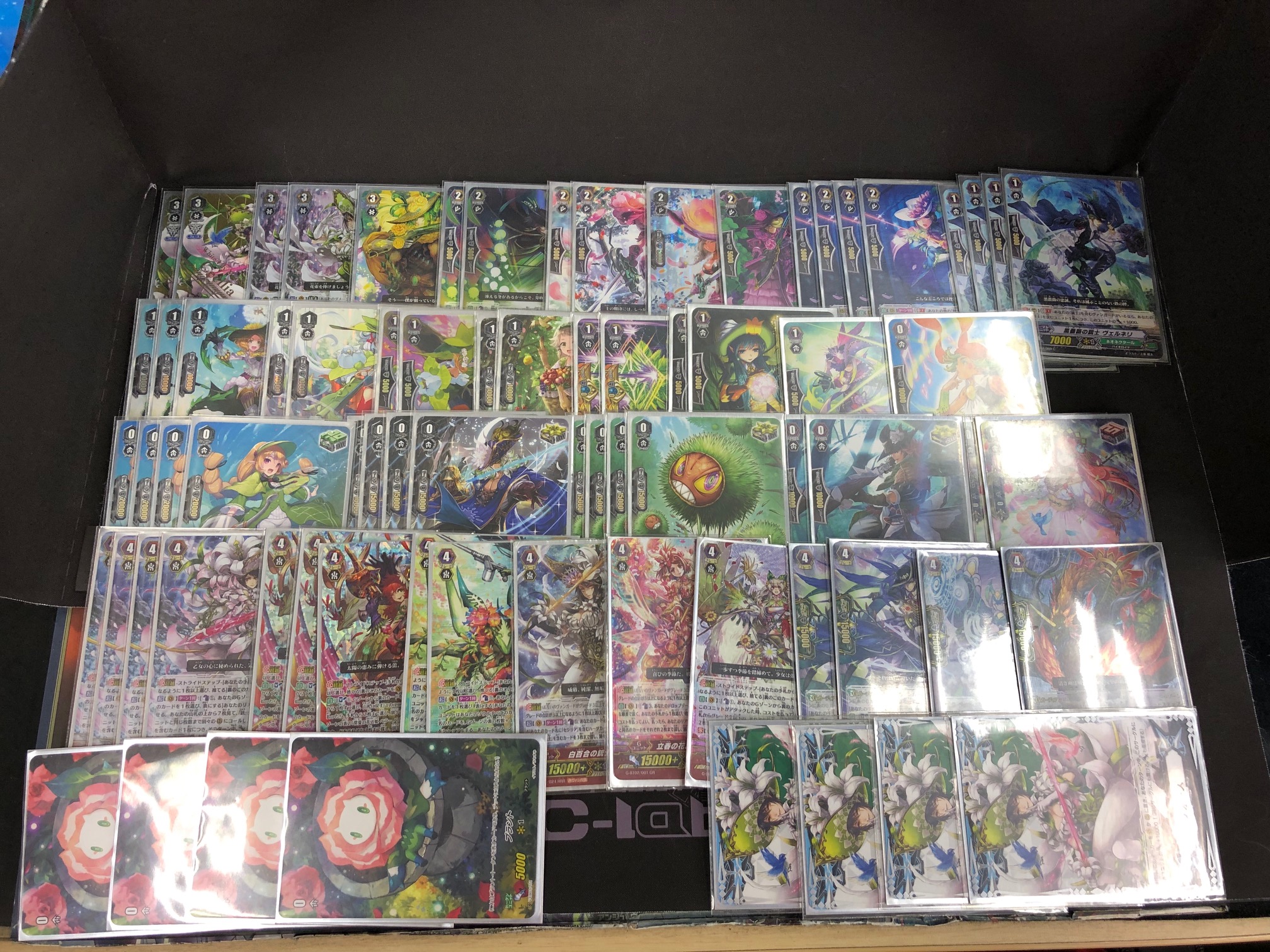 ヴァンガード / 【姫路店】1月16日ヴァンガード（P・スタンダード