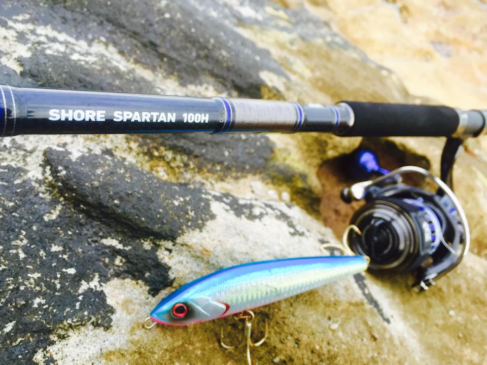 ダイワ ショアスパルタン 100H 【使用インプレ】 » 豪磯部 - Sydney