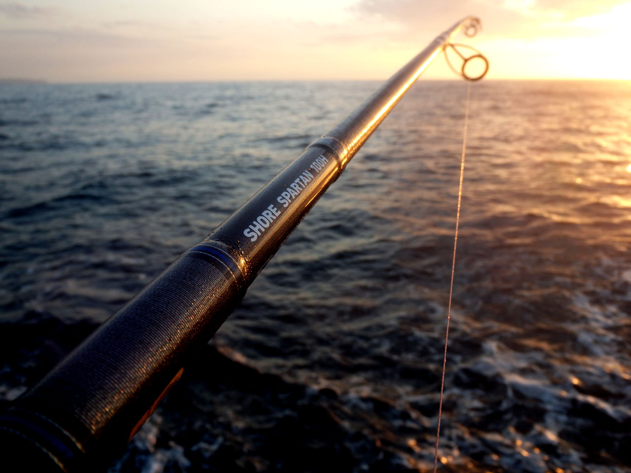 ダイワ ショアスパルタン 100H 【使用インプレ】 » 豪磯部 - Sydney