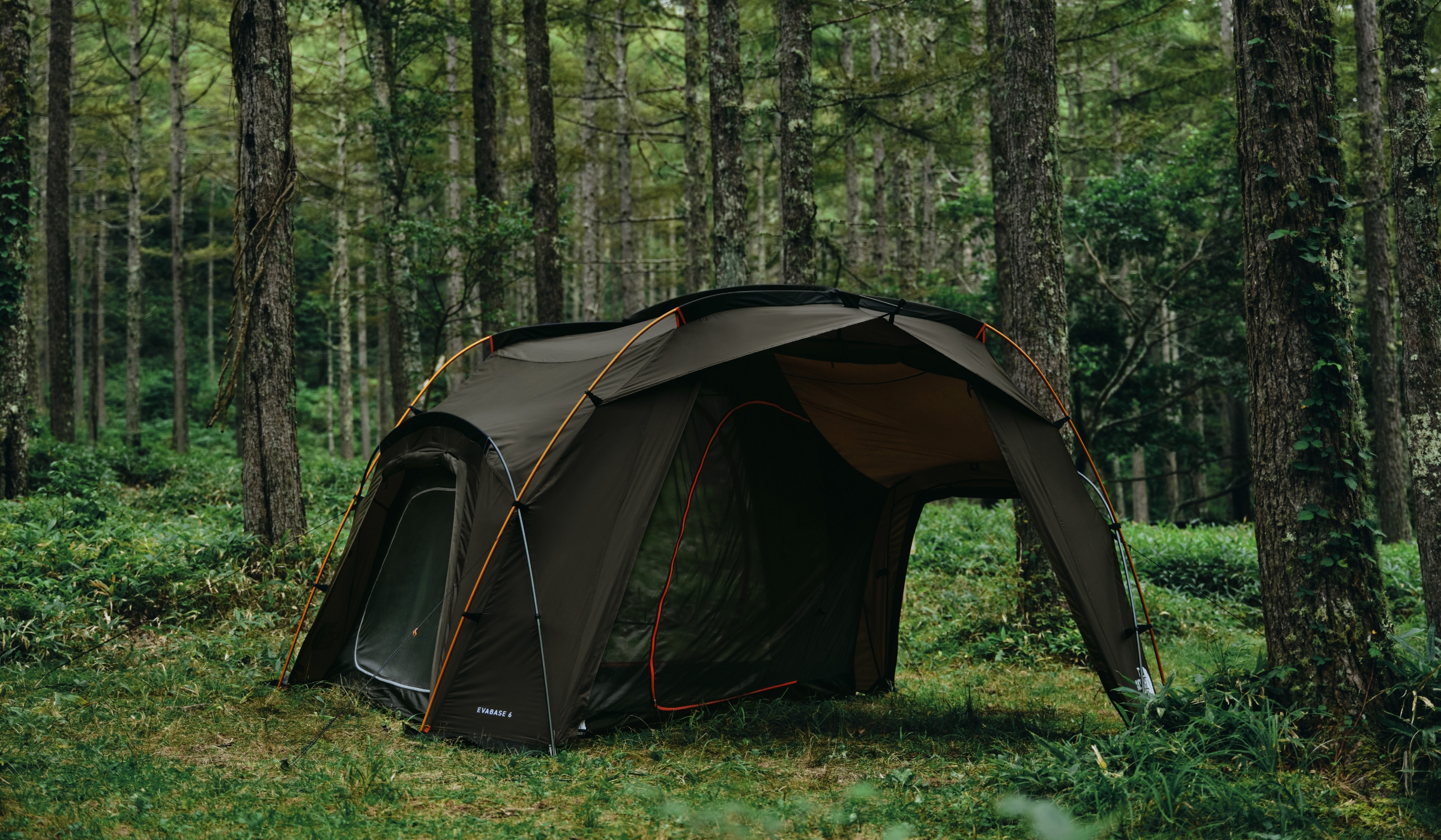 Evabase 6 Half Inner | Online Camp Store | THE NORTH FACE CAMP