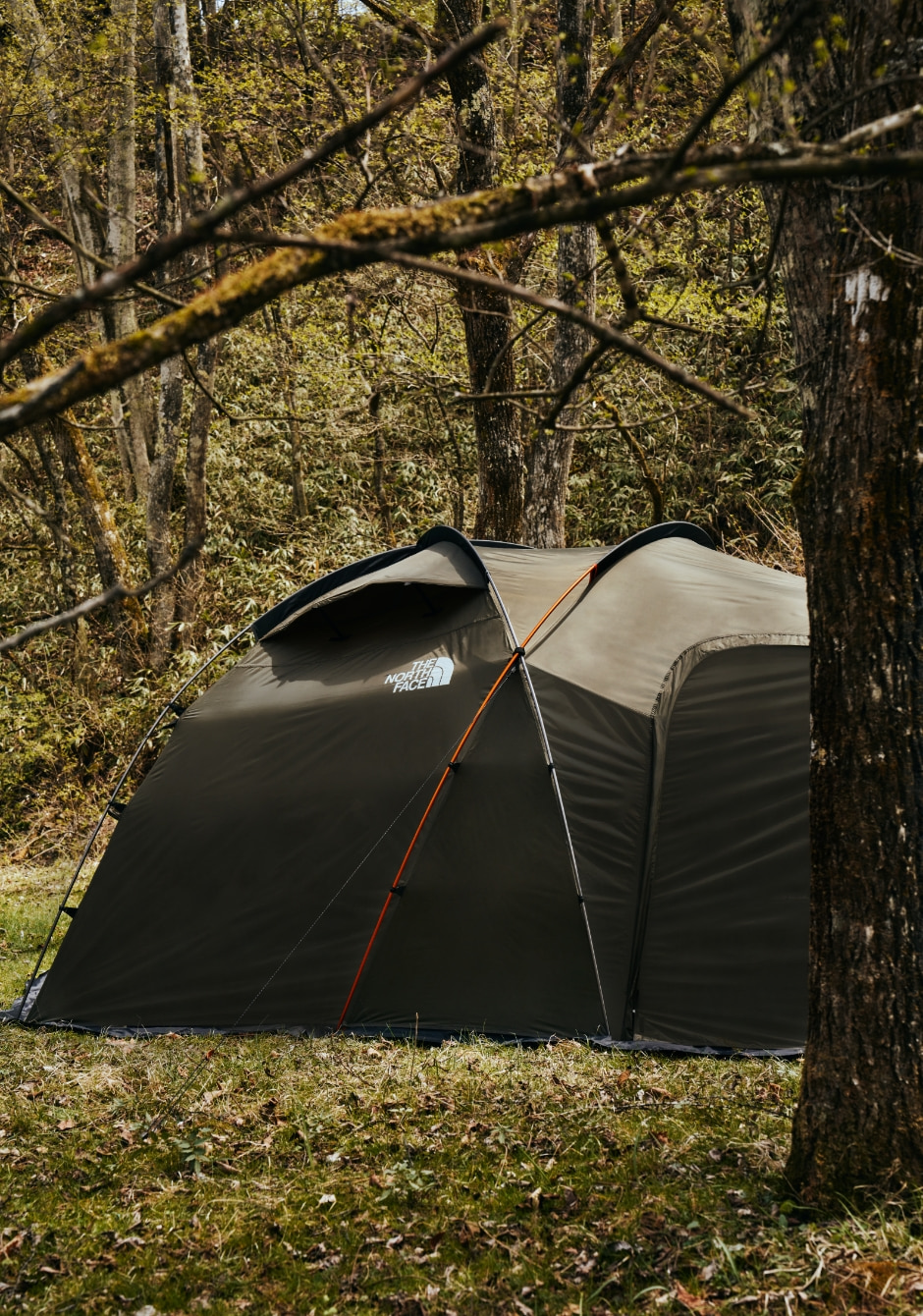 Lander 4 | Online Camp Store | THE NORTH FACE CAMP